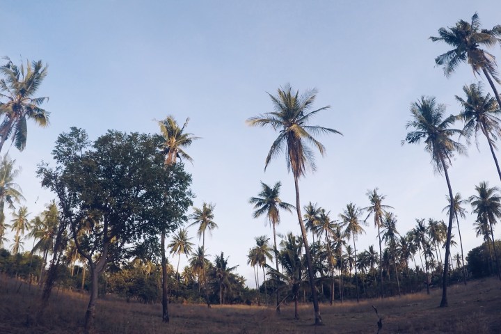 Processed with VSCO with a5 preset