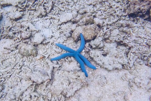 Processed with VSCO with a5 preset