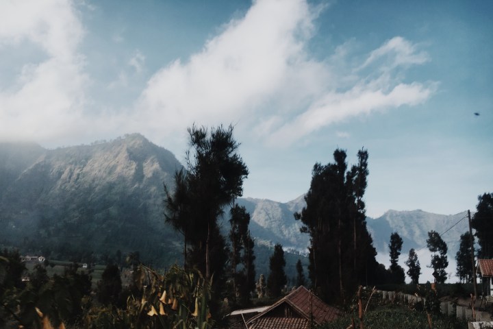 Processed with VSCO with m5 preset