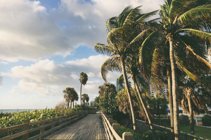 Processed with VSCO with a7 preset