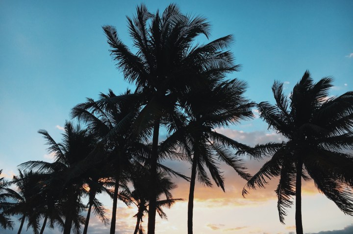 Processed with VSCO with c8 preset