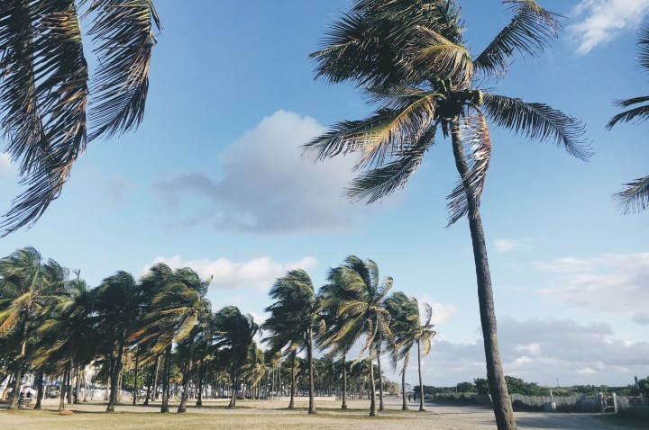 Processed with VSCO with a7 preset