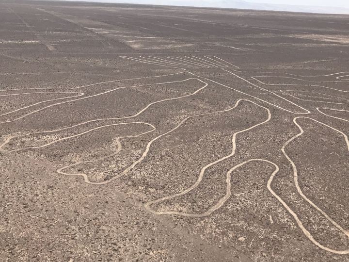 031d420e-cb51-44dc-af22-37d06d6c8fe5