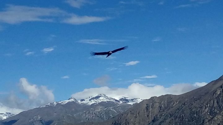 593f610c-dca0-40fb-9de3-cf0a19e39279