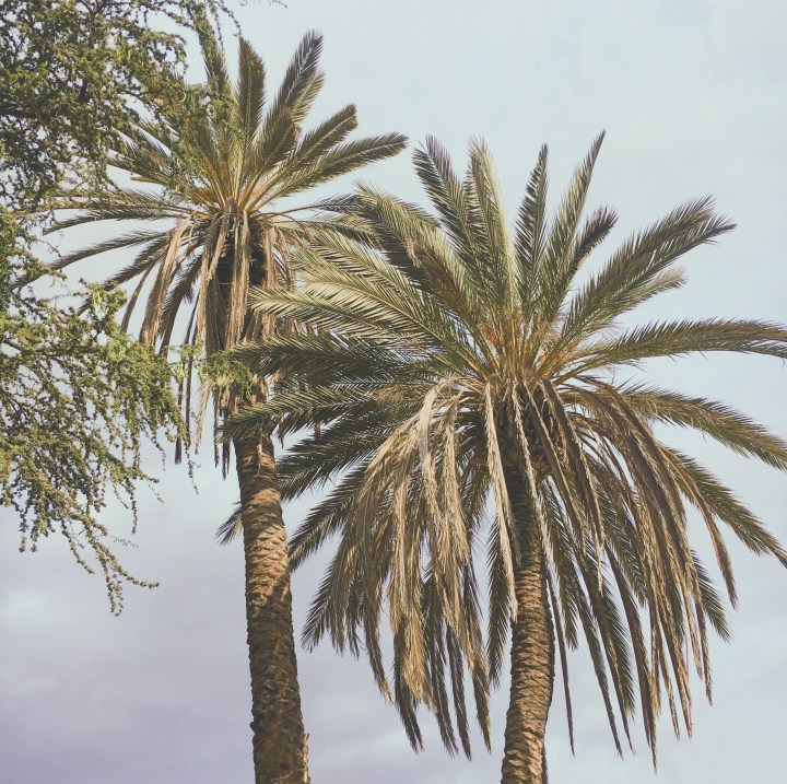 Processed with VSCO with fr4 preset