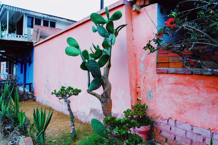 Processed with VSCO with au5 preset