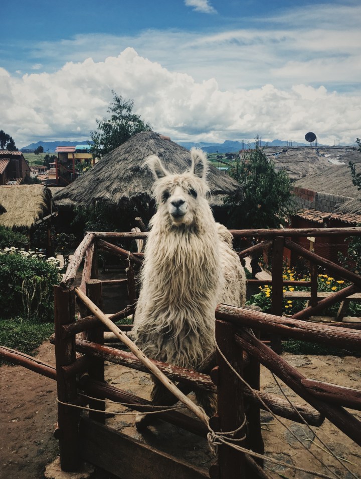 Processed with VSCO with fp8 preset