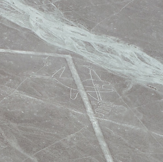 Processed with VSCO with a4 preset