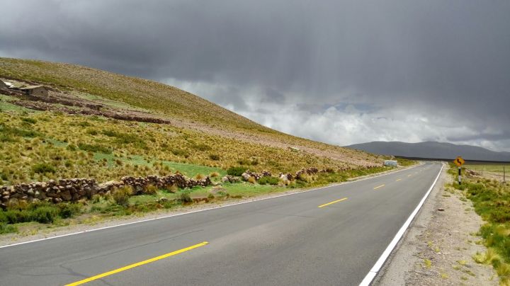 dc64c6bb-1b5c-4c01-8b99-a1a11d45d4f6