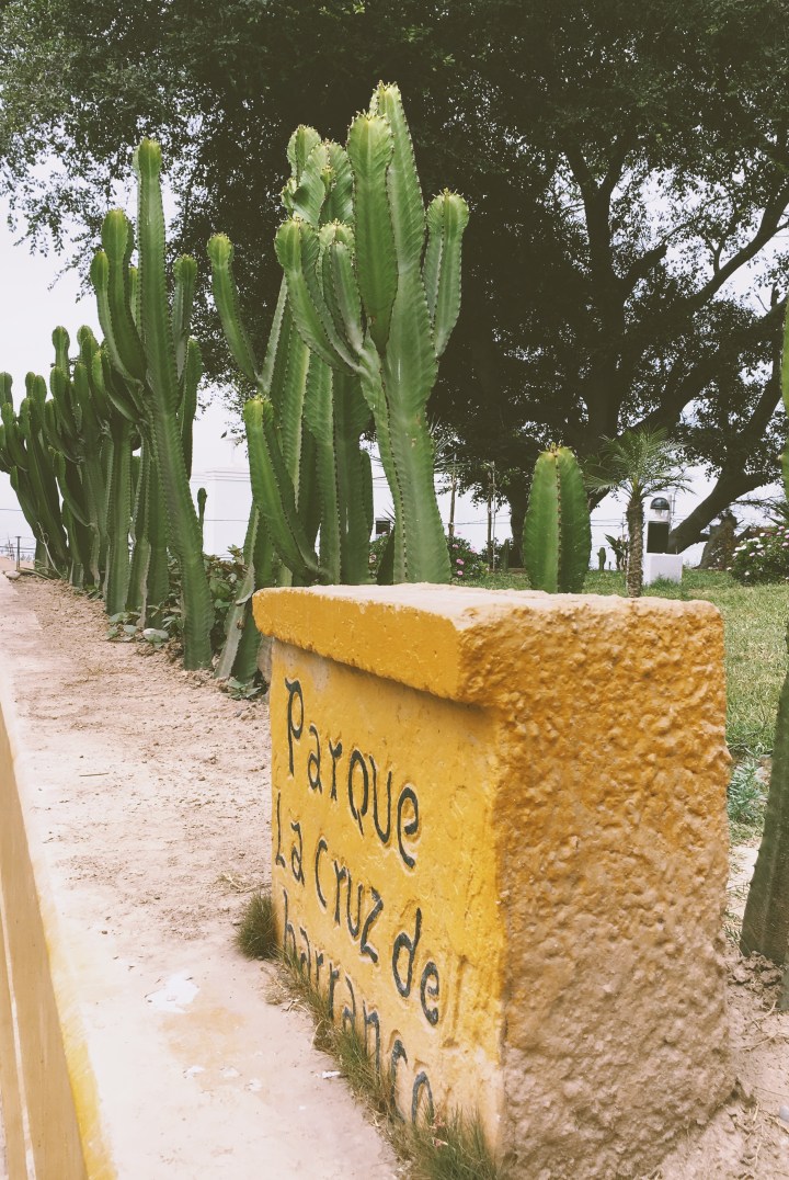 Processed with VSCO with av8 preset