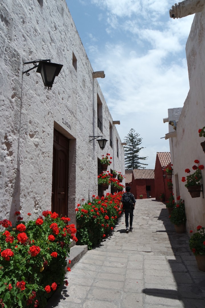 SAMSUNG CAMERA PICTURES