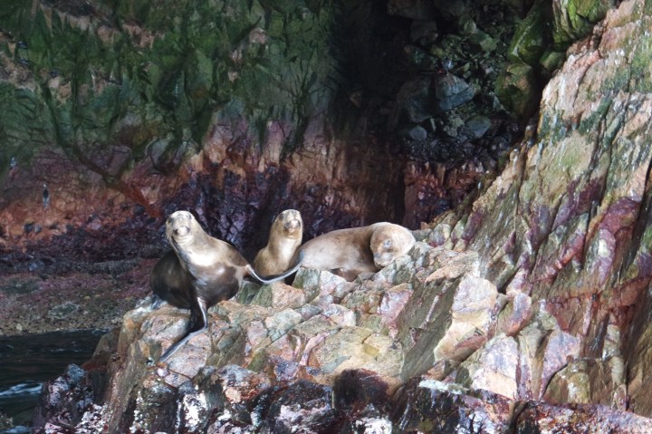 SAMSUNG CAMERA PICTURES