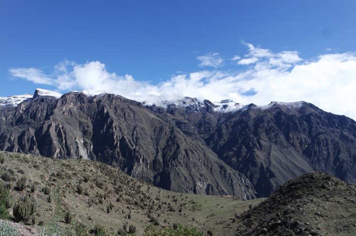 SAMSUNG CAMERA PICTURES