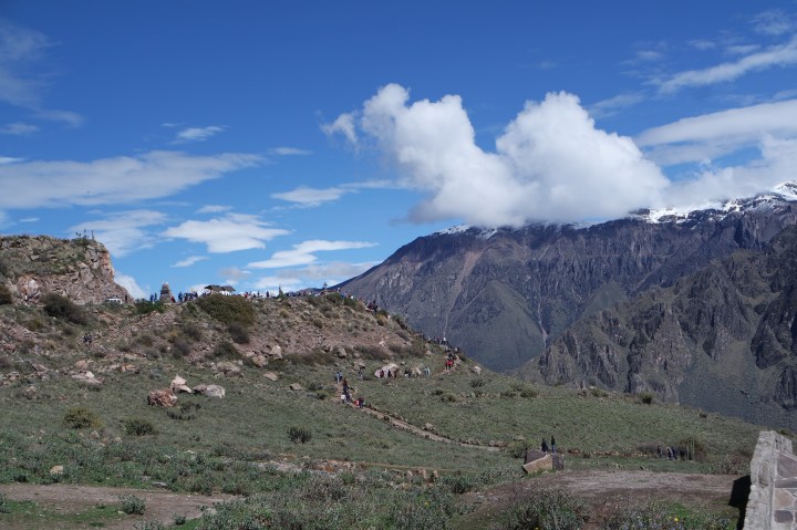 SAMSUNG CAMERA PICTURES