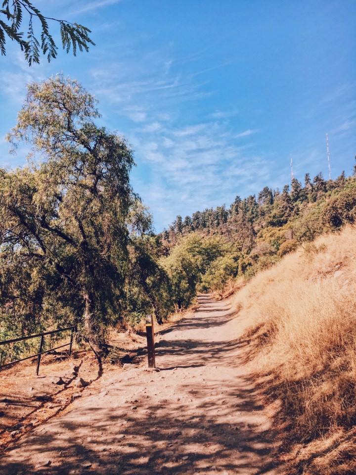 Processed with VSCO with c4 preset