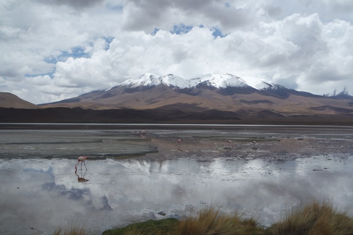 SAMSUNG CAMERA PICTURES