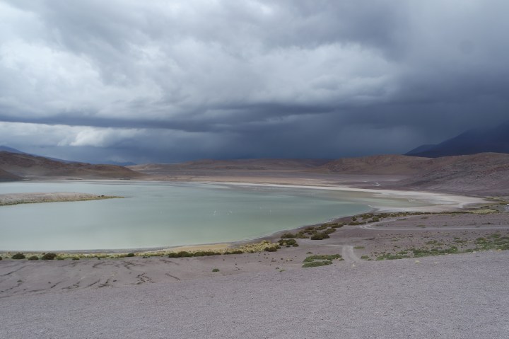 SAMSUNG CAMERA PICTURES