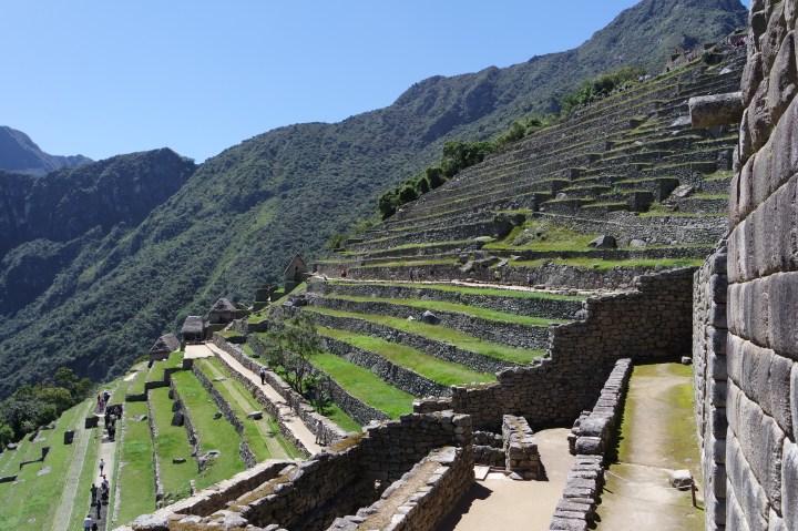 SAMSUNG CAMERA PICTURES