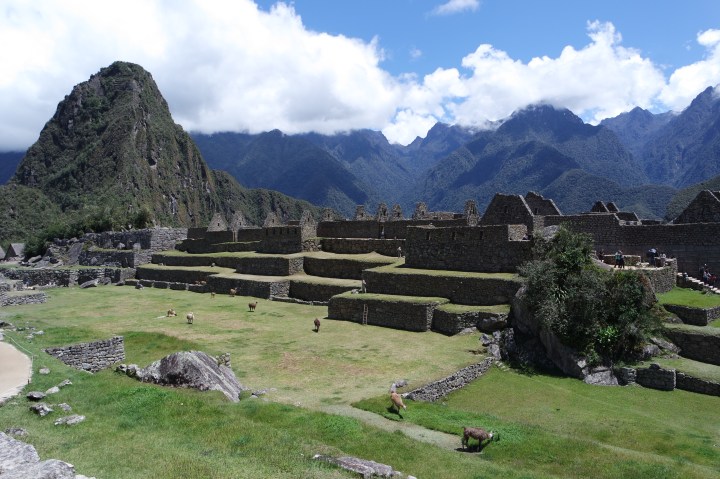 SAMSUNG CAMERA PICTURES