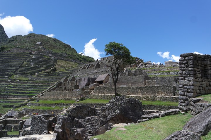 SAMSUNG CAMERA PICTURES