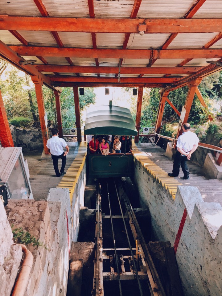 Processed with VSCO with c4 preset